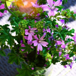 豆瓣知乎简书微信公众号💐